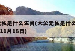 大公无私是什么生肖(大公无私是什么生肖2020年11月18日)