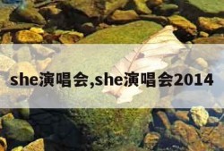 she演唱会,she演唱会2014