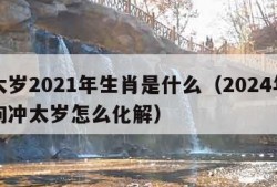 犯太岁2021年生肖是什么（2024年生肖狗冲太岁怎么化解）