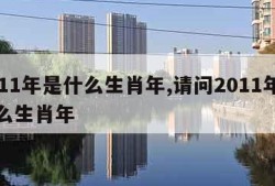 2011年是什么生肖年,请问2011年是什么生肖年