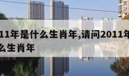 2011年是什么生肖年,请问2011年是什么生肖年