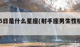 12月5日是什么星座(射手座男生性格特点)