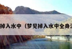 梦见掉入水中（梦见掉入水中全身湿透）