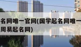 国学起名网唯一官网(国学起名网唯一官网名扬天下周易起名网)