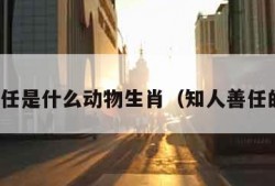 知人善任是什么动物生肖（知人善任的生肖）