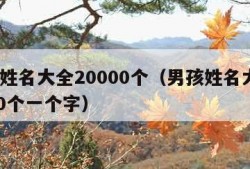 男孩姓名大全20000个（男孩姓名大全20000个一个字）