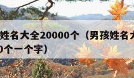 男孩姓名大全20000个（男孩姓名大全20000个一个字）