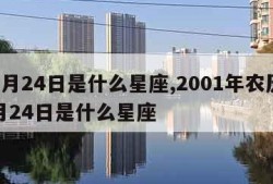 12月24日是什么星座,2001年农历12月24日是什么星座