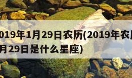 2019年1月29日农历(2019年农历1月29日是什么星座)