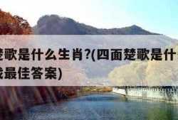 四面楚歌是什么生肖?(四面楚歌是什么生肖百度找最佳答案)