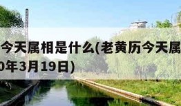 老黄历今天属相是什么(老黄历今天属相是什么2020年3月19日)