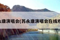 苏永康演唱会(苏永康演唱会在线观看)