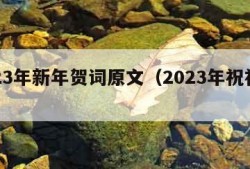 2023年新年贺词原文（2023年祝福语）