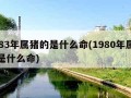 1983年属猪的是什么命(1980年属猴的是什么命)