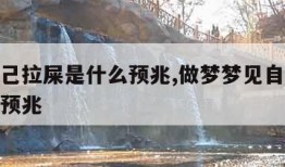 梦见自己拉屎是什么预兆,做梦梦见自己拉屎是什么预兆