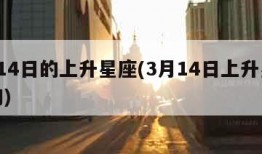 3月14日的上升星座(3月14日上升星座查询)