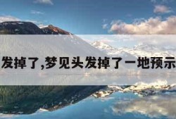 梦见头发掉了,梦见头发掉了一地预示着什么