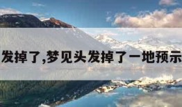 梦见头发掉了,梦见头发掉了一地预示着什么