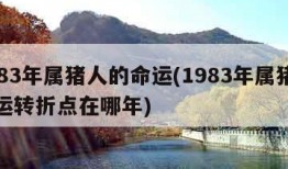 1983年属猪人的命运(1983年属猪人命运转折点在哪年)