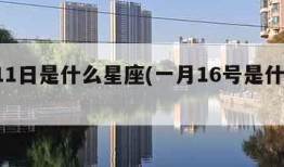 8月11日是什么星座(一月16号是什么星座)