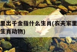 农夫家里出千金指什么生肖(农夫家里出千金指什么生肖动物)