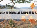 姓名网起名打分测试,姓名网免费取名打分测试