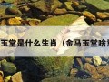 金马玉堂是什么生肖（金马玉堂啥意思）