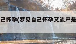 梦见自己怀孕(梦见自己怀孕又流产是啥预兆解梦)