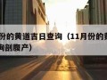 11月份的黄道吉日查询（11月份的黄道吉日查询剖腹产）