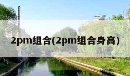 2pm组合(2pm组合身高)