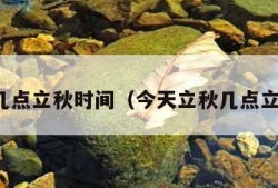 今天几点立秋时间（今天立秋几点立秋啊）