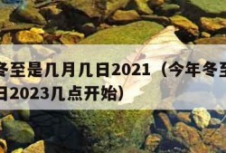 今年冬至是几月几日2021（今年冬至是几月几日2023几点开始）