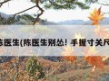 陈医生(陈医生别怂! 手握寸关尺)