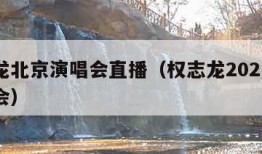 权志龙北京演唱会直播（权志龙2021北京演唱会）