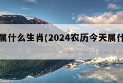 今天属什么生肖(2024农历今天属什么生肖)