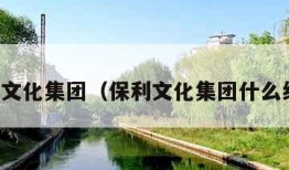 保利文化集团（保利文化集团什么级别）