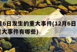 12月6日发生的重大事件(12月6日发生的重大事件有哪些)