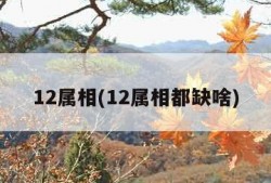 12属相(12属相都缺啥)