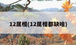 12属相(12属相都缺啥)