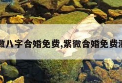 紫微八字合婚免费,紫微合婚免费测试