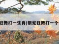 银蛇狂舞打一生肖(银蛇狂舞打一个生肖)