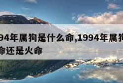 1994年属狗是什么命,1994年属狗是木命还是火命