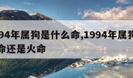 1994年属狗是什么命,1994年属狗是木命还是火命