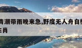 青潮,青潮带雨晚来急,野度无人舟自横代表什么生肖