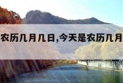 今天是农历几月几日,今天是农历几月几日今日查询