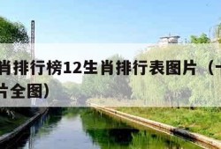 12生肖排行榜12生肖排行表图片（十二生肖图片全图）