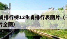 12生肖排行榜12生肖排行表图片（十二生肖图片全图）