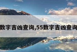 数字吉凶查询,55数字吉凶查询