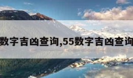 数字吉凶查询,55数字吉凶查询