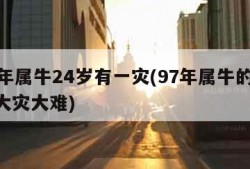 97年属牛24岁有一灾(97年属牛的24岁大灾大难)